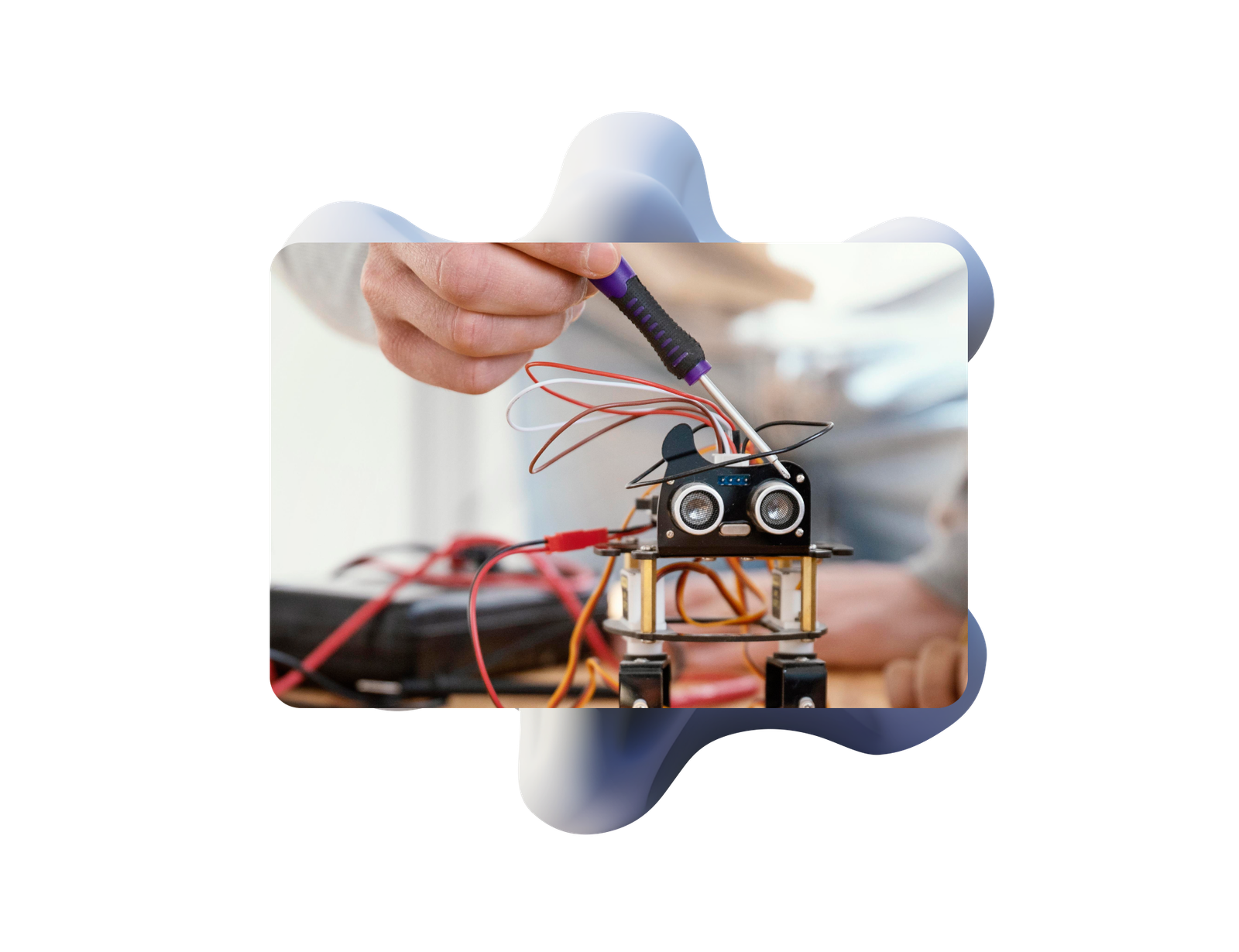 Robotics & Intelligent Hardware Development